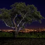 House & Wine Casa vacanze