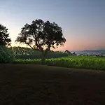 House & Wine Casa vacanze Braga