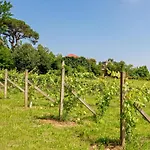 House & Wine Casa vacanze