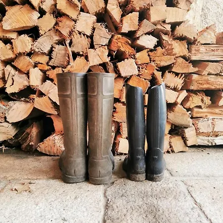 House & Wine Дом отдыха