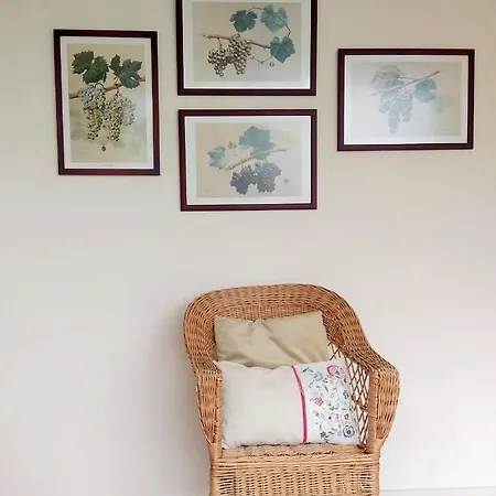 Дом отдыха House & Wine Брага