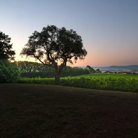 House & Wine Дом отдыха Брага