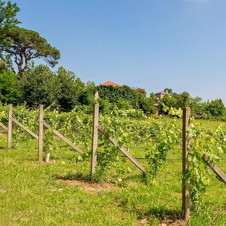 House & Wine בית נופש