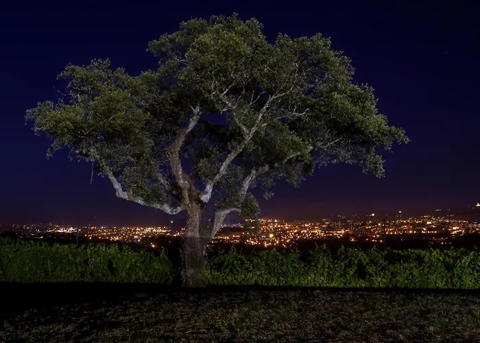 House & Wine Casa vacanze