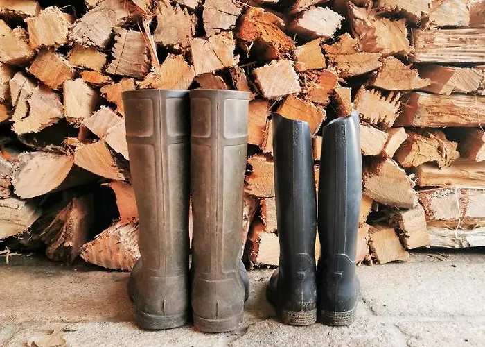 House & Wine Hébergement de vacances