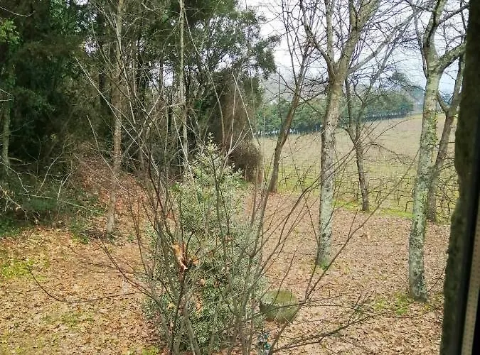 House & Wine * Braga