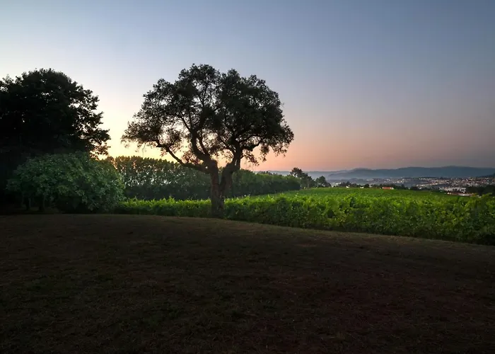 House & Wine Casa vacanze Braga