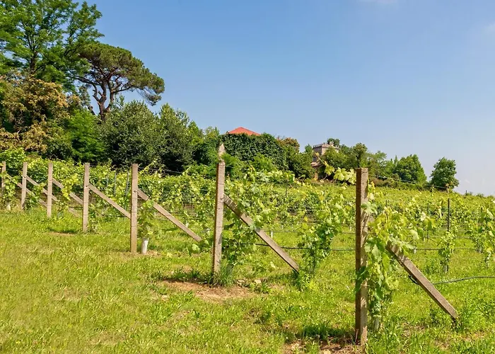 House & Wine Casa vacanze